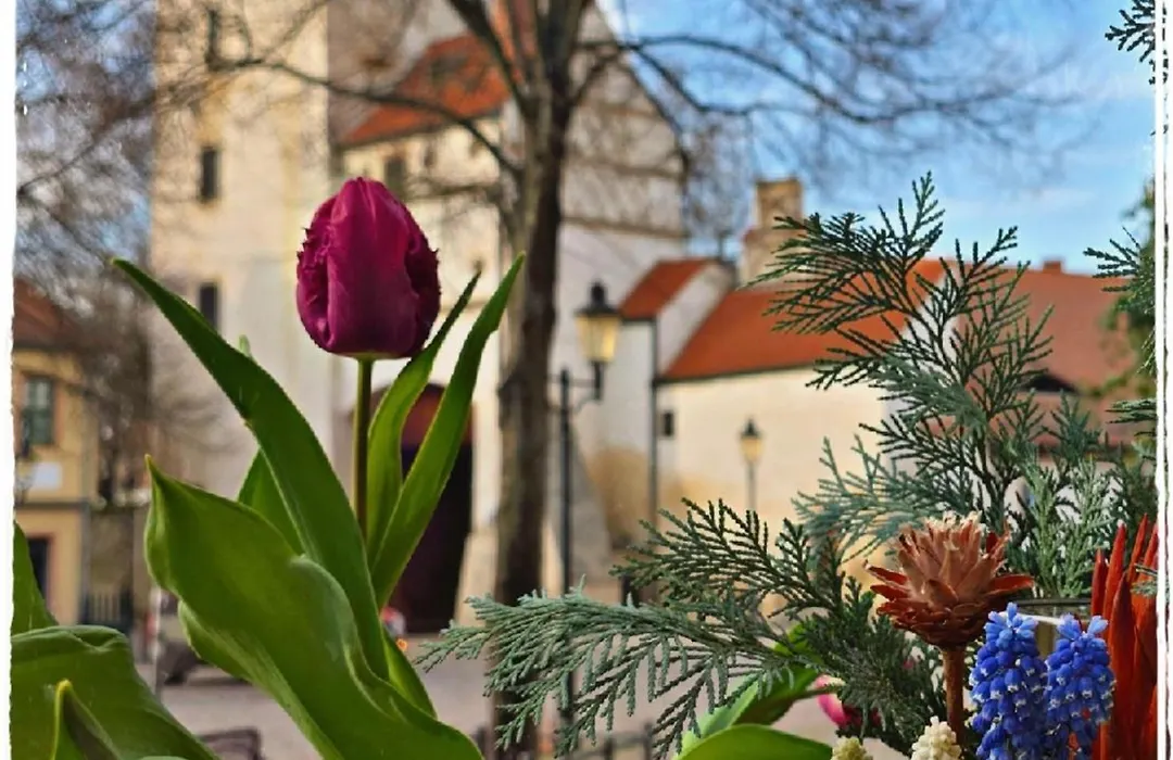 Gästehaus am Stadttor-1