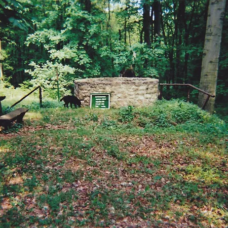 Hotel garni Zum Rebstock-3
